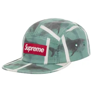 Supreme Damien Hirst Camp Cap, from StockX