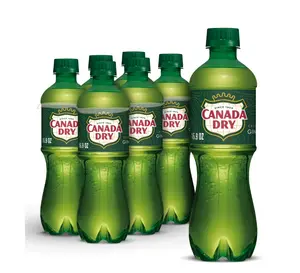 Canada Dry Caffeine Free Ginger Ale Soda Pop 16.9 fl oz 6 Pack Bottles Beverage Carbonated Soda Zesty Flavor Caffeine Free Formula