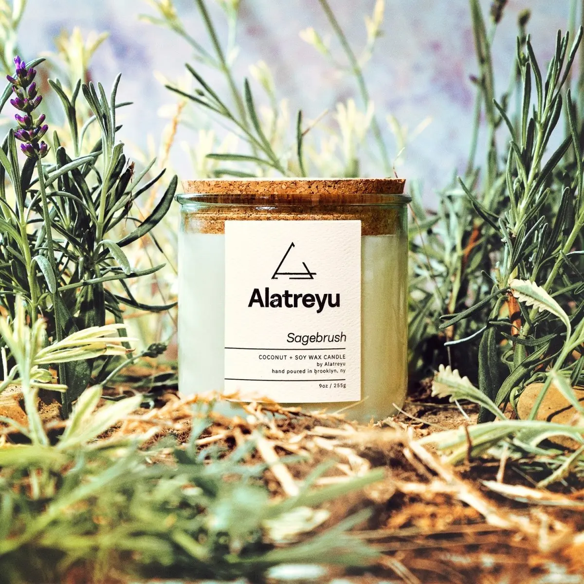 Sagebrush Scented Candle | Desert Lavender · Sage · Vetiver | The earthy, herbal smell of the American West | Hand-Poured Artisan Home Fragrance | 100% Coconut + Soy Wax | Pay What You Can