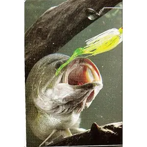 USED-Secrets of the Bass Pros by Dick Editor (Hardcover)