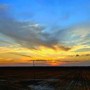 Vivid Landscapes