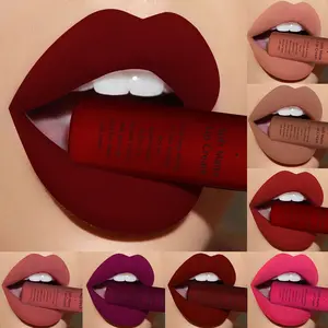 25 Color Matte Intensely Pigmented Soft Mist Lip Gloss, Long-Lasting No Smudge Lipstick, Nude Tone Liquid Lipstick, Non-Sticky Lip Glaze