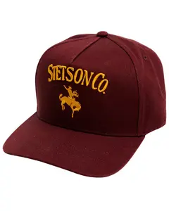 Stetson Men's Men'S 160Th Anniversary Ball Cap - 07-077-0102-0160 Re