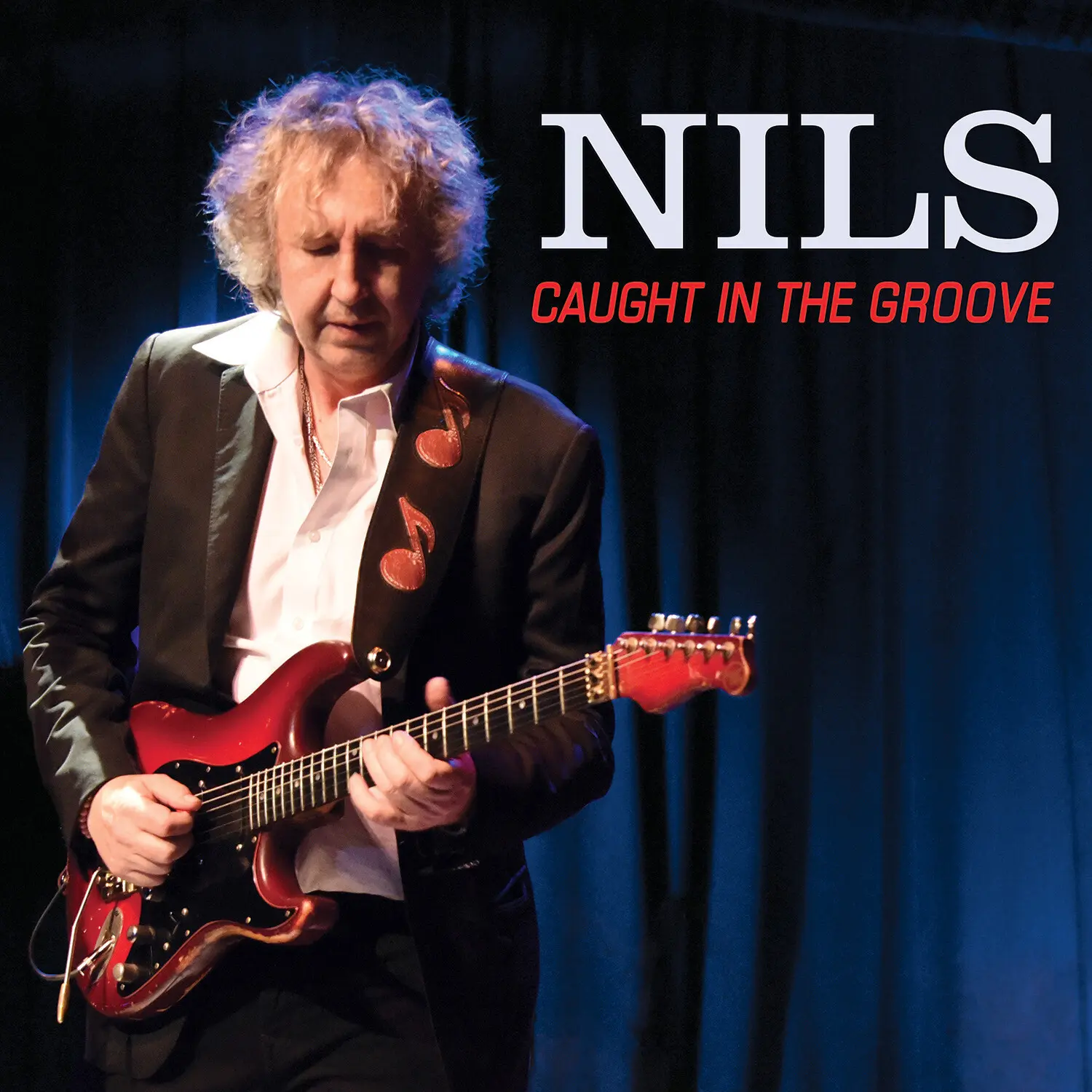 The Nils - Caught In The Groove  [COMPACT DISC - CD]