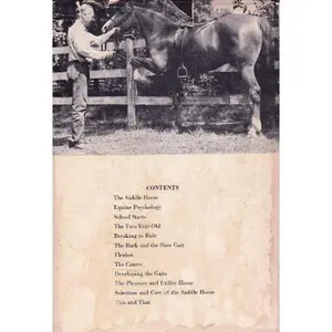 USED-The Saddle Horse by Lance Phillips (Hardcover)