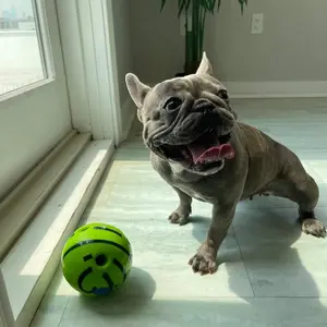 Jouettoy Large Watermelon Giggle Ball for all size dogs