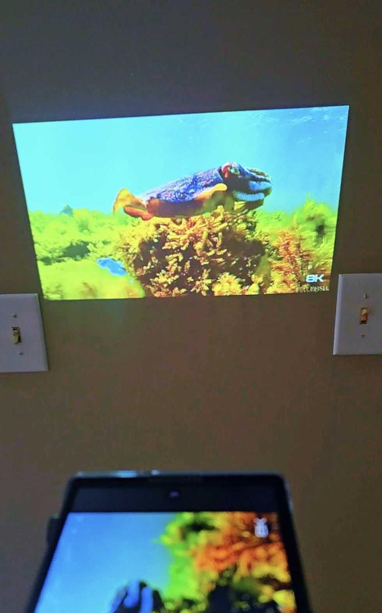 Item: Unlocked 5G Projector Phone-Black