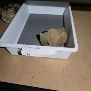 Lychee Gems Crystal-2A7 Intuitive Crystal Bundle - Unique Gift for Any Occasion - Personal Significance & Distinctive Present by Lychee Team - Thoughtful Selection