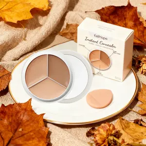 Three-Color Concealer Cream, Under Eye Concealer, Full Coverage, Natural Look, Dark Circles, Spots, Acne Scars, Brighten Skin Tone, Women's Makeup Gift Set