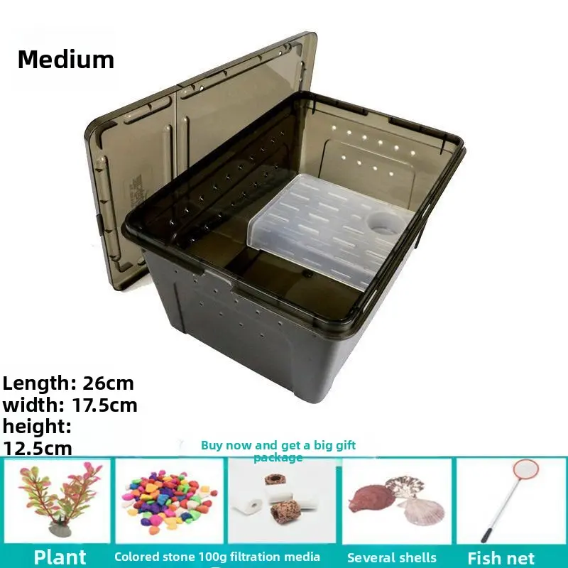 Medium-sized black transparent turtle-shaped box (