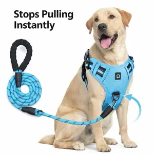 Reflective No-Pull Dog Harness & 5FT Rope Leash Set Escape-Proof Padded Tangle-Free Sturdy Durable Breathable Mesh
