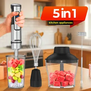 Ganiza Immersion Blender Hand Blender 15 Speed Mode Stainless Steel Stick Head with Whisk Milk Frother Masher Blending Cup Chopping Bowl Recipe Guide Perfect Kitchen Gift for Home Cooks Golden Butter Essentials Slow Cold Pressed Juicer Machine