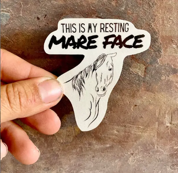 Funny horse sticker vinyl water resistant sticker Gift Decoration Flat Waterproof