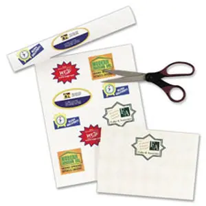 Avery AVE8663 Inkjet Mailing Labels- Shipping- 2 in. x 4 in.- 250-PK- Clear