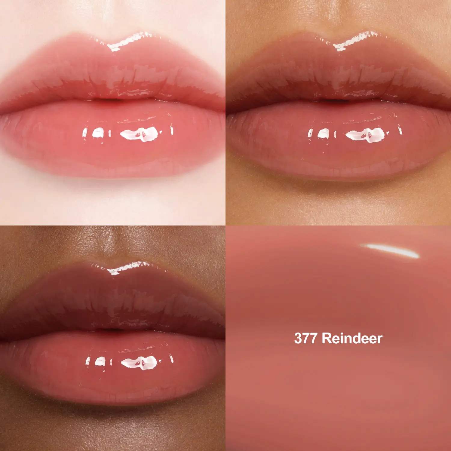 377 Reindeer