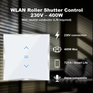 Smart Curtain Switch Phone Remote Control Voice Control Compatible with Alexa and Google Home, Smart Home Automation Device