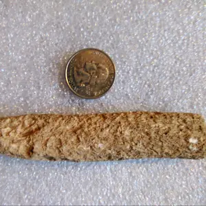 Fulgurite Fossilized Lightning