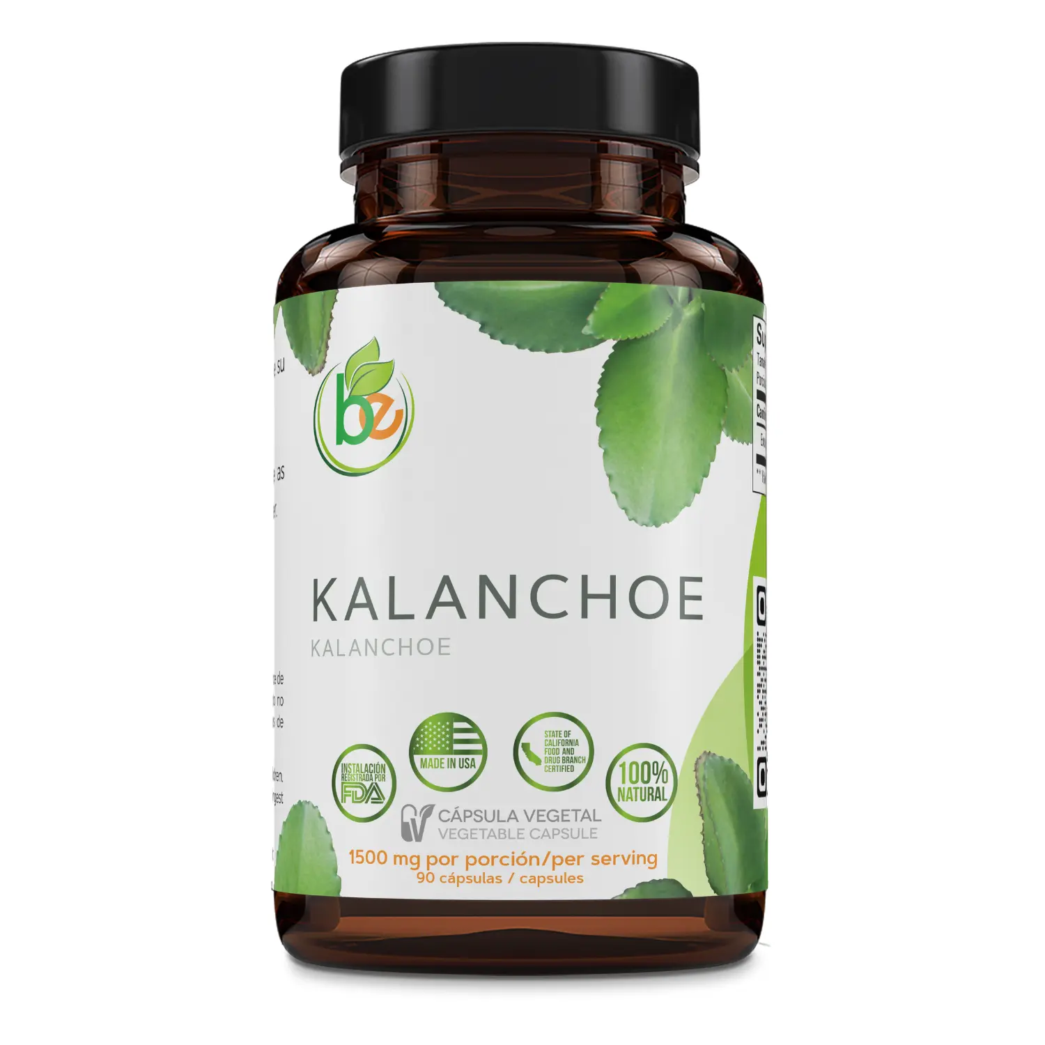 BexpertsUSA Kalanchoe Pinnata Forte – 1500mg per Serving – 90 Vegan Capsules – Leaf of Life (Bryophyllum Pinnatum) – 100% Natural Herbal Supplement for Antioxidant & Immune Support – Non-GMO & Plant-Based