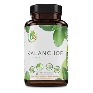 BexpertsUSA Kalanchoe Pinnata Forte – 1500mg per Serving – 90 Vegan Capsules – Leaf of Life (Bryophyllum Pinnatum) – 100% Natural Herbal Supplement for Antioxidant & Immune Support – Non-GMO & Plant-Based