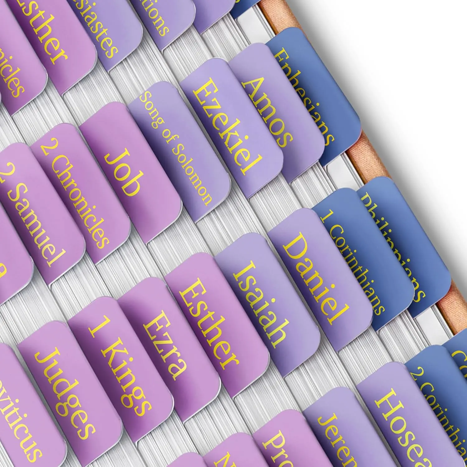 Mr. Pen- Bible Tabs, 75 Tabs, The Roseate Dusk, Gold Foil Embossed Lettering, Laminated Bible Tabs for Women and Men, Bible Tabs for Study Bible Index Tabs, Bible Book Tabs, Bible Labels Tabs
