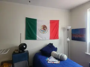 Mexican Flag