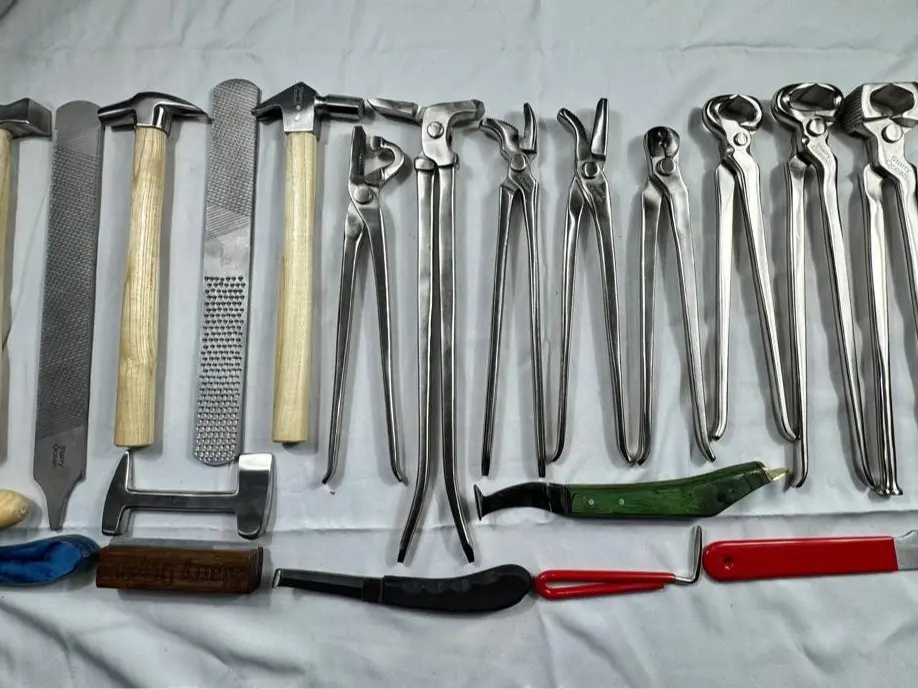 23 items Heavy Duty Professional Horse Care Farrier Hoof Clincher Tool Kit