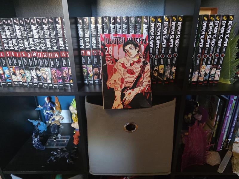 Jujutsu Kaisen, Vol. 28 Paperback – November 4, 2025