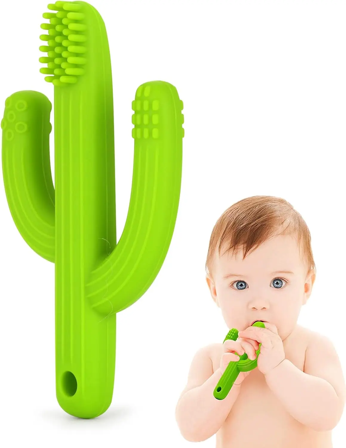 Green Organic BPA-Free Cactus Teether - Soft Self-Soothing Pain Relief Baby Toy for 0-6 Months, 6-12 Months Infants (Toys & Hobbies Push Power Ride-on Accessory Complement)