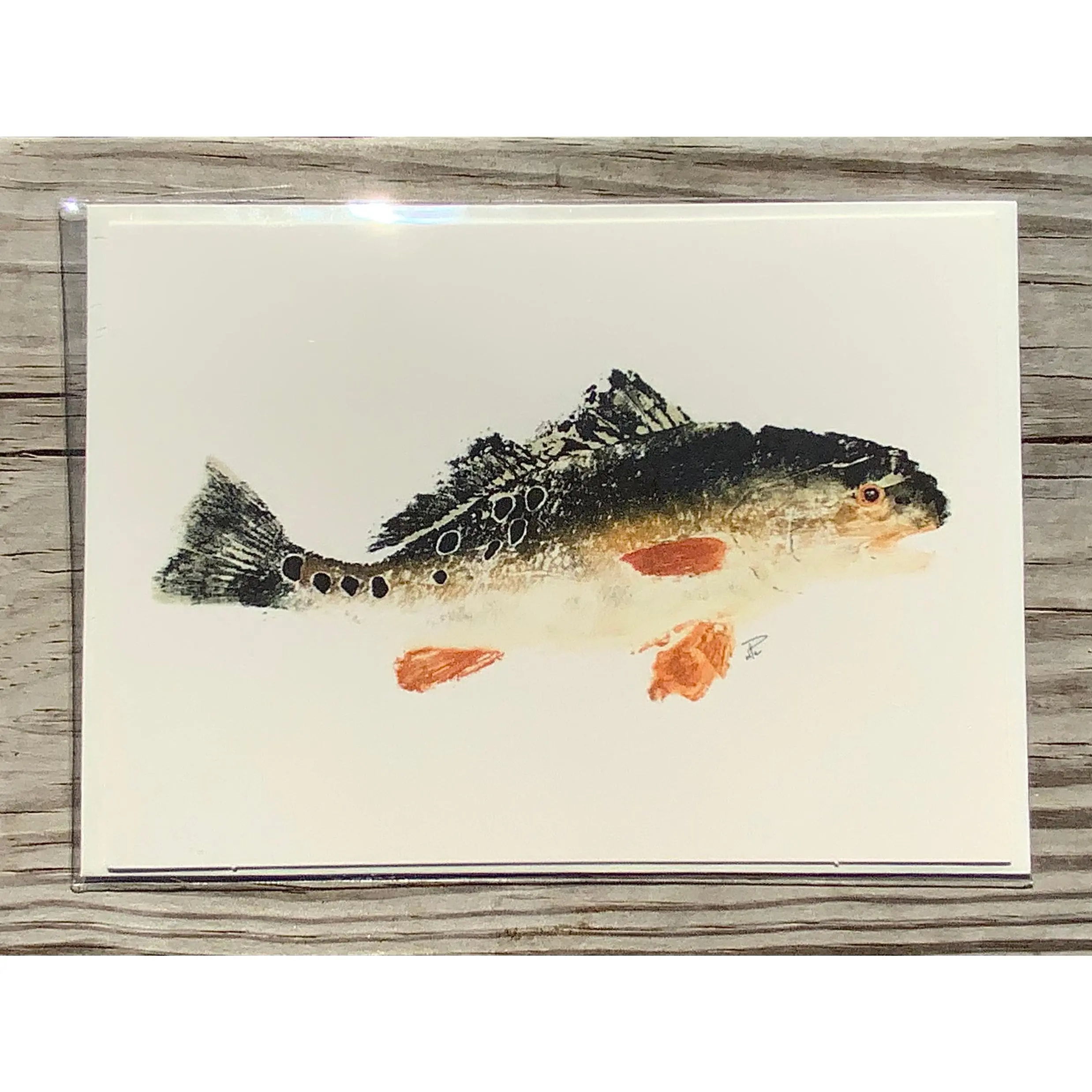 Redfish Gyotaku Cards - TikTok Shop