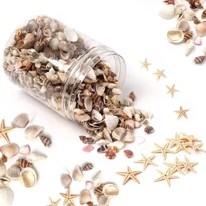 1200 count  Sea Shells Small  Starfish Mixed  Beach Spiral Seashells for Home Decorations,Wedding Decor,Candle Making,Beach Theme Party,DIY Crafts and Vase Filler