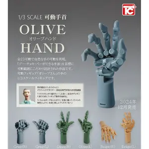 1/3 Scale Movable Posable Artist Wrist Left & Right Hand Model