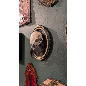 Raven skull replica in Gothic ornate frame