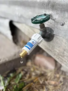 Freeze Miser (single)