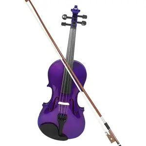 Violin Instrument Purple Violin 4/4 Material Strings Are Handcrafted,Good sound quality.