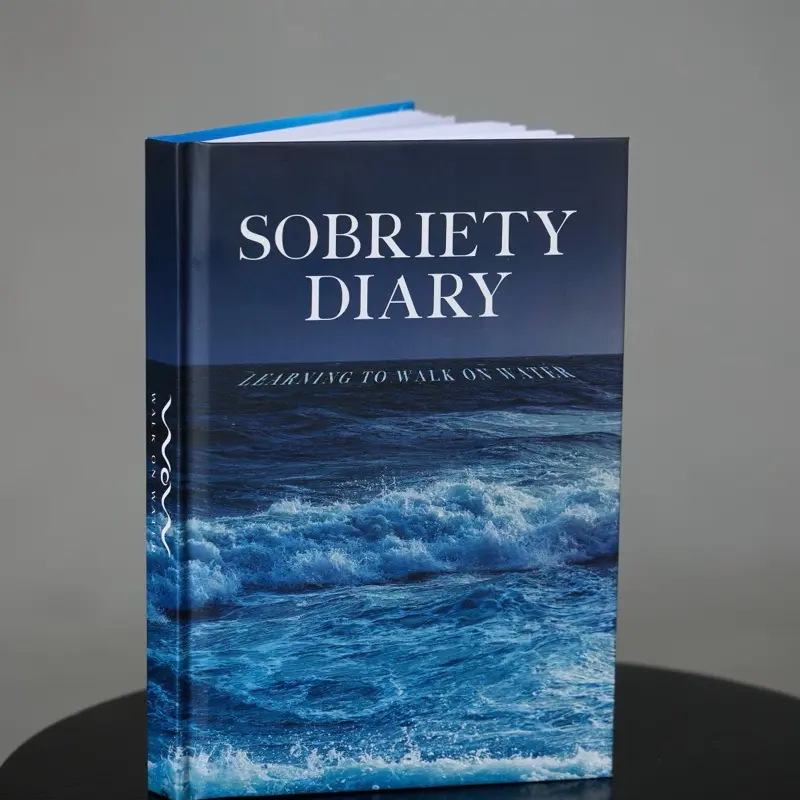 Sobriety Diary ( WOW)