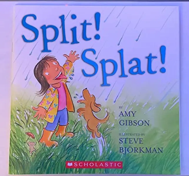 USED Book - Split! Splat! by Amy Gibson (Paperback)