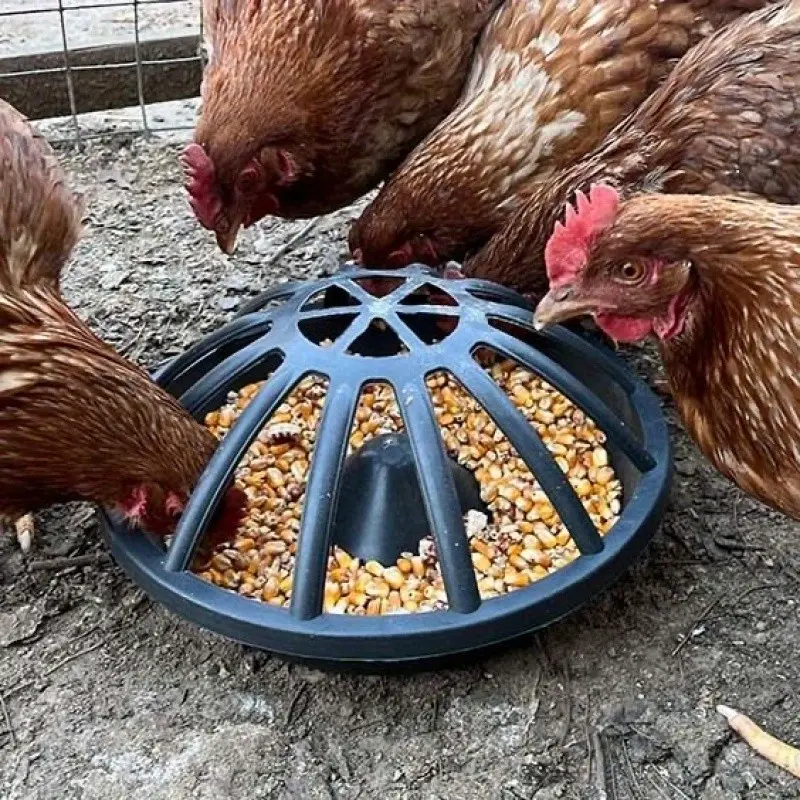 Durable Plastic Poultry Feeder for Chickens Ducks Geese, Non-Electric Easy Clean Hygiene Round Feeding Tray with Safety Lid, Farm Backyard Use Cleaning