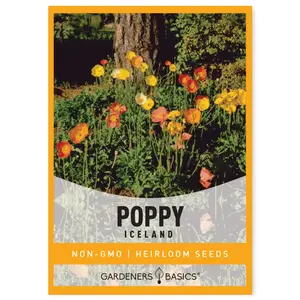 Iceland Poppy Seeds