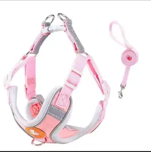 Adjustable Pet Harness with Front Hook for Dogs and Cats Secure Comfortable Fit for Walks and Outings;Safe Outdoor Harness and Leash for Dogs,Pet Walking Harness & Leash Set,Dog harness with leash for safe and comfortable walks