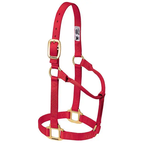 Weaver Original Non-Adjustable Halter, 1" Average Weaver Original Non-Adjustable Halter, 1" Average