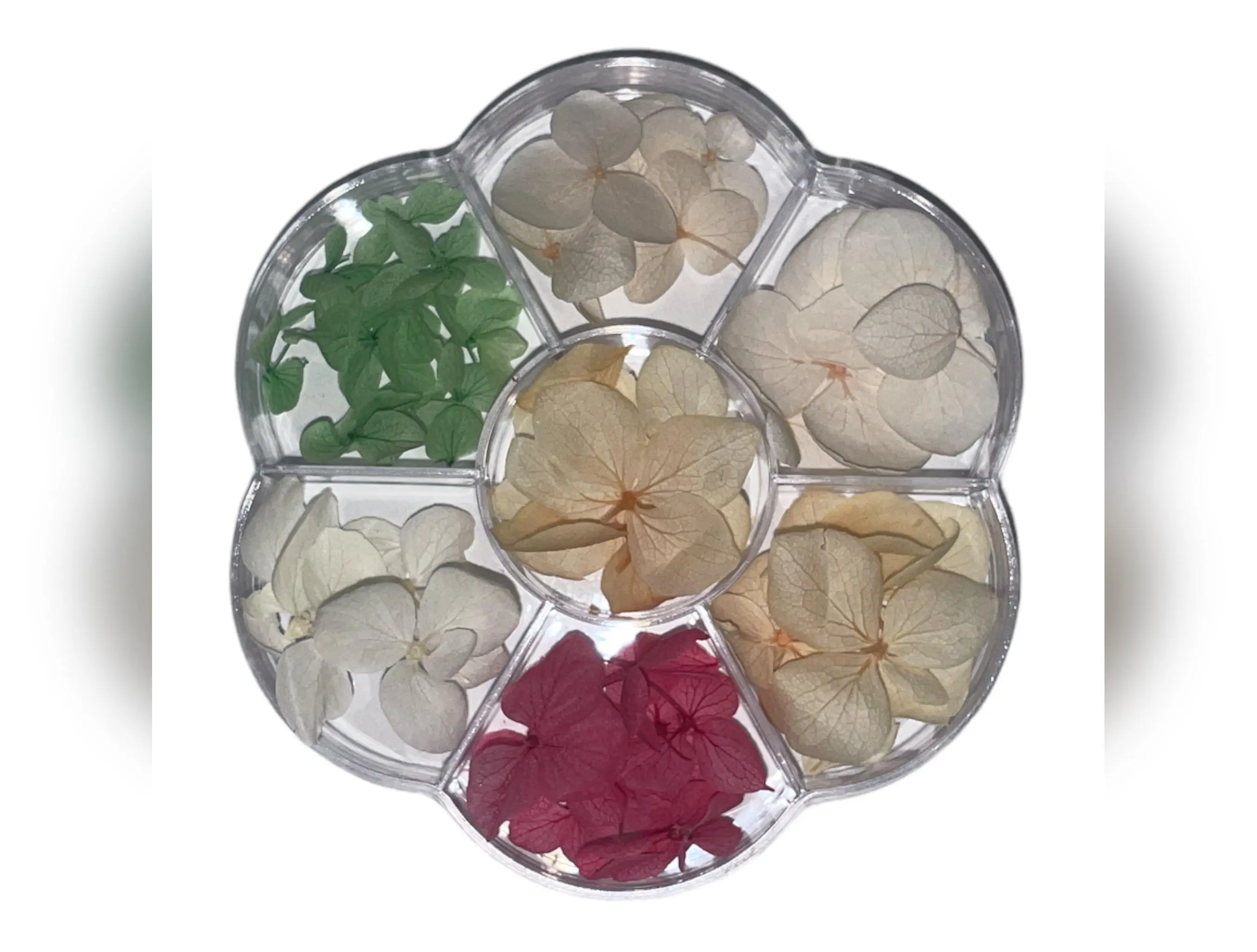 7 Grid Dried Flower Petals