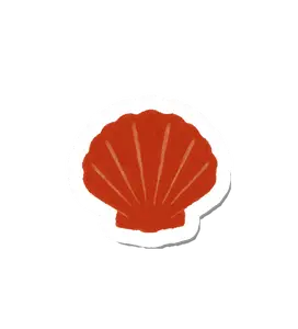 Coastal Shell Home Decor Tattoo