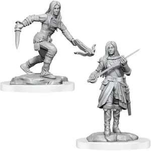 WizKids Unpainted Half-Elf Female Rogue (2)