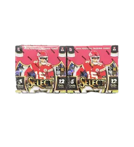 Break #28 - (2) 2025 PANINI SELECT HOBBY BOX BREAK **CHASE COLOR WHEELS, ALTER EGO'S, ZEBRAS, & BLACK PRIZM 1/1'S***