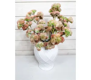 QVC 5-Piece Pink Sedum Decorative Plant Set by Janine Graff