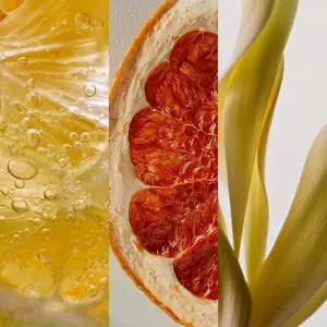 Neolūn | Vibrant, Reverence & Succulent Candle