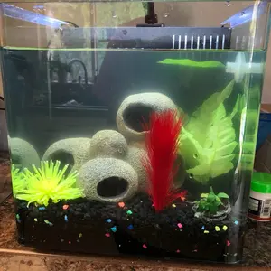 5 gallon starter tank