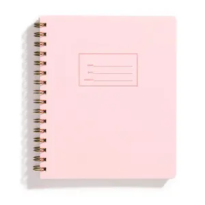 Iron Curtain Press Shorthand Graph Notebook, Lemonade Pink, Office Stationery & Supplies