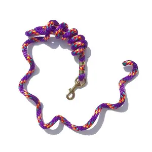Poly Lead Rope with Brass Plated Bolt Snap Rainbow Colors