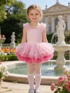 Girls' Solid Color Ballet Dance Tutu Dress, Sleeveless Contrast Mesh Vest Skirt, Elegant Performance & Playwear, All Seasons